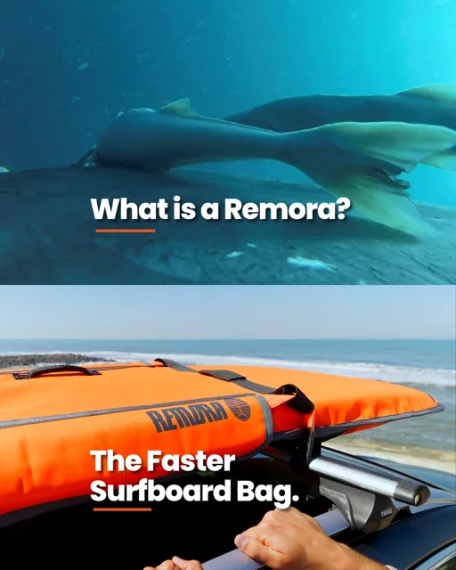RemoraSurf Reel preview